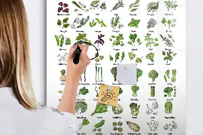 Lavagna magnetica cancellabile a secco Verdure verdi