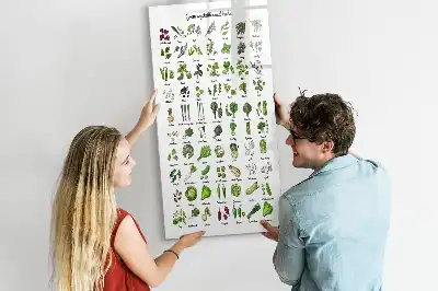 Lavagna magnetica cancellabile a secco Verdure verdi