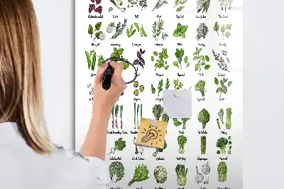 Lavagna magnetica cancellabile a secco Verdure verdi