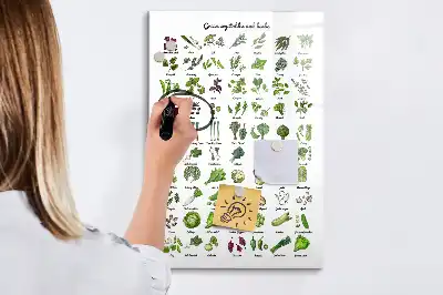 Lavagna magnetica cancellabile a secco Verdure verdi