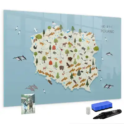 Lavagna magnetica per bambini con mappa illustrata degli animali della Polonia