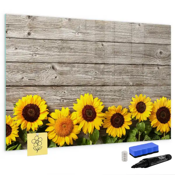 Lavagna magnetica per disegnare modello Girasoli