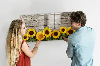 Lavagna magnetica per disegnare modello Girasoli