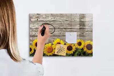 Lavagna magnetica per disegnare modello Girasoli