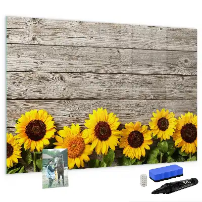 Lavagna magnetica per disegnare modello Girasoli