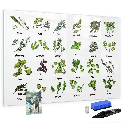 Lavagna magnetica per disegnare motivo specie di alberi