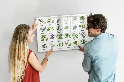 Lavagna magnetica per disegnare motivo specie di alberi