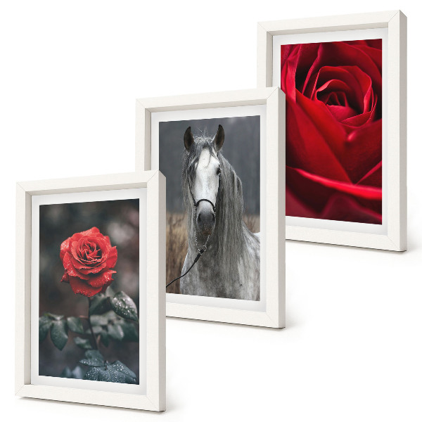 Composizione di 3 quadri Rose rosse e un cavallo in uno scenario grigio
