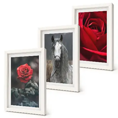 Composizione di 3 quadri con rose rosse e un cavallo in uno scenario grigio