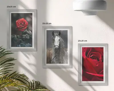 Composizione di 3 quadri con rose rosse e un cavallo in uno scenario grigio