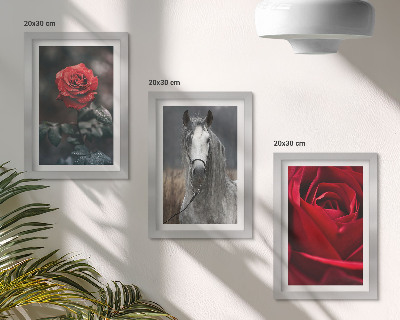Composizione di 3 quadri Rose rosse e un cavallo in uno scenario grigio