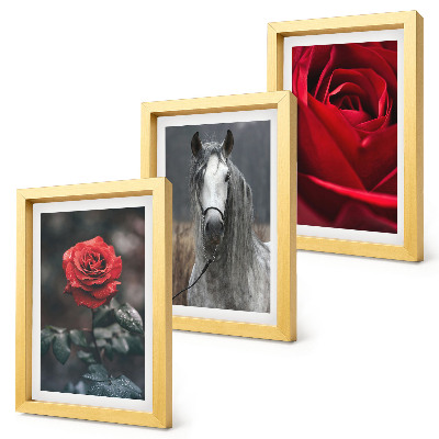 Composizione di 3 quadri Rose rosse e un cavallo in uno scenario grigio