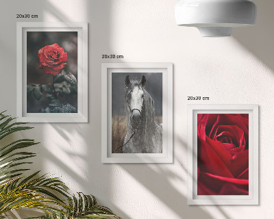 Composizione di 3 quadri Rose rosse e un cavallo in uno scenario grigio