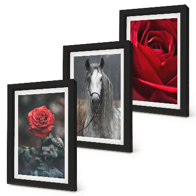 Composizione di 3 quadri Rose rosse e un cavallo in uno scenario grigio