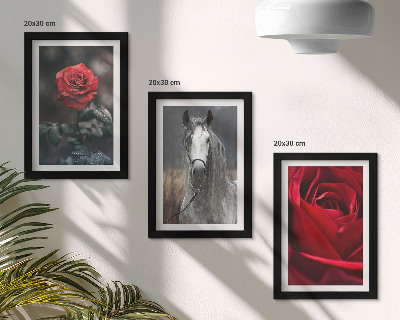 Composizione di 3 quadri Rose rosse e un cavallo in uno scenario grigio