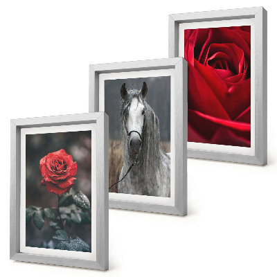 Composizione di 3 quadri Rose rosse e un cavallo in uno scenario grigio