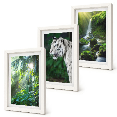 Trittico incorniciato Giungla con una tigre bianca e una cascata selvaggia