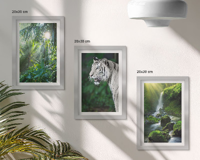Trittico incorniciato Giungla con una tigre bianca e una cascata selvaggia