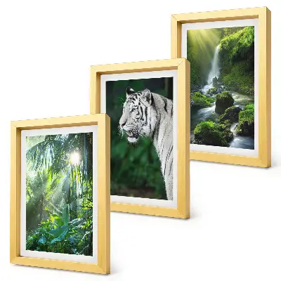 Trittico incorniciato giungla con tigre bianca e cascata selvaggia