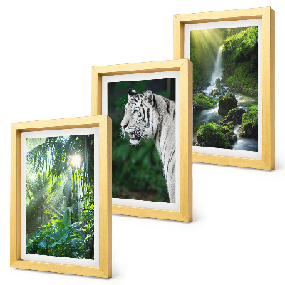 Trittico incorniciato Giungla con una tigre bianca e una cascata selvaggia