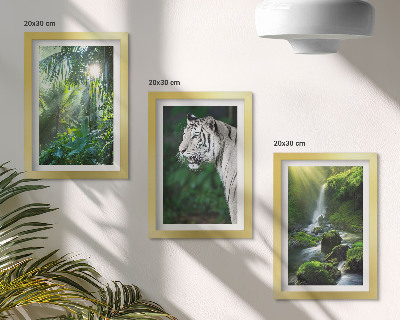 Trittico incorniciato Giungla con una tigre bianca e una cascata selvaggia