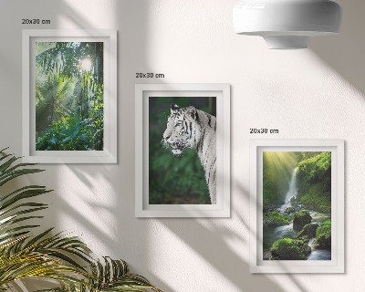 Trittico incorniciato Giungla con una tigre bianca e una cascata selvaggia