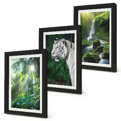 Trittico incorniciato giungla con tigre bianca e cascata selvaggia
