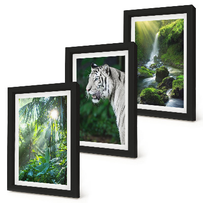 Trittico incorniciato Giungla con una tigre bianca e una cascata selvaggia