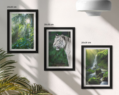 Trittico incorniciato Giungla con una tigre bianca e una cascata selvaggia