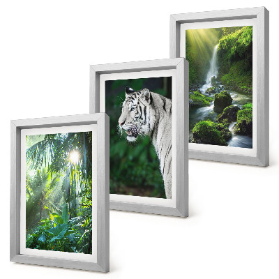 Trittico incorniciato Giungla con una tigre bianca e una cascata selvaggia