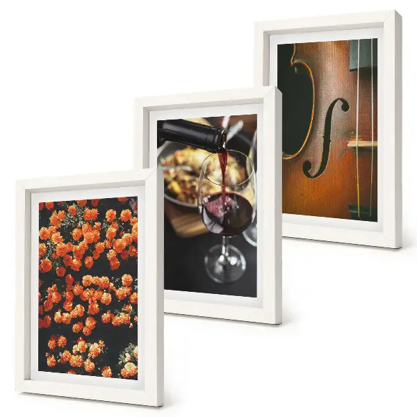 Composizione di 3 quadri fiori romantici vintage con vino e violino