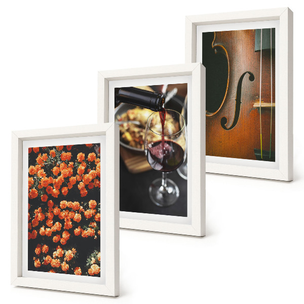 Composizione di 3 quadri Fiori romantici vintage, vino e violino