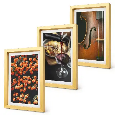 Composizione di 3 quadri fiori romantici vintage con vino e violino