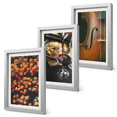 Composizione di 3 quadri fiori romantici vintage con vino e violino