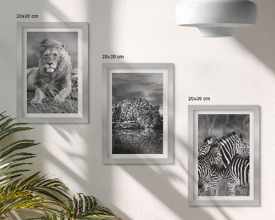 Composizione di 3 quadri Animali selvatici della savana: leone, giaguaro e zebra