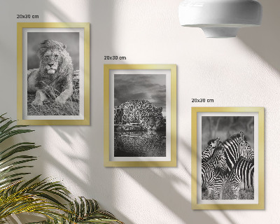 Composizione di 3 quadri Animali selvatici della savana: leone, giaguaro e zebra