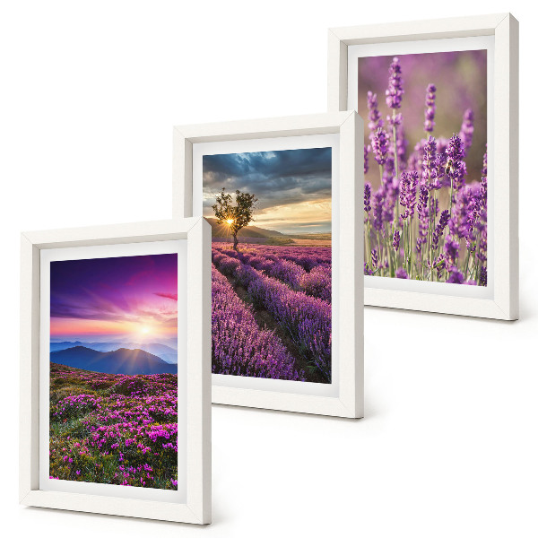 Composizione di 3 quadri Paesaggio con campi di lavanda e tramonto