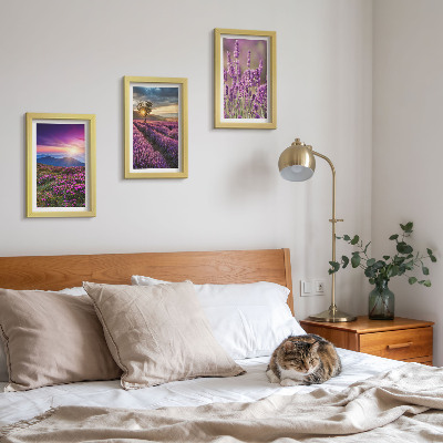 Composizione di 3 quadri Paesaggio con campi di lavanda e tramonto