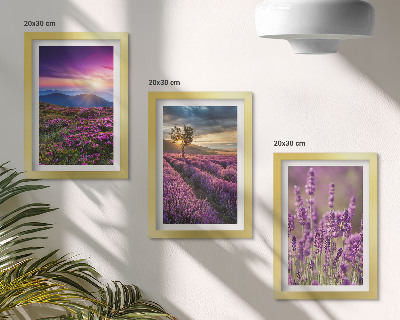 Composizione di 3 quadri Paesaggio con campi di lavanda e tramonto