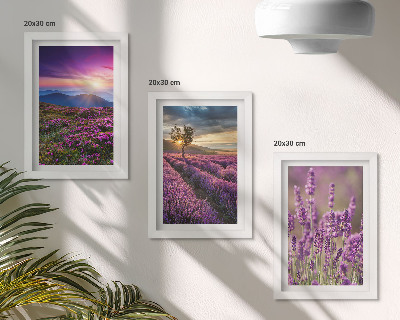 Composizione di 3 quadri Paesaggio con campi di lavanda e tramonto