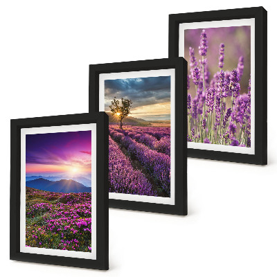 Composizione di 3 quadri Paesaggio con campi di lavanda e tramonto