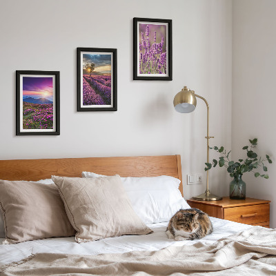 Composizione di 3 quadri Paesaggio con campi di lavanda e tramonto