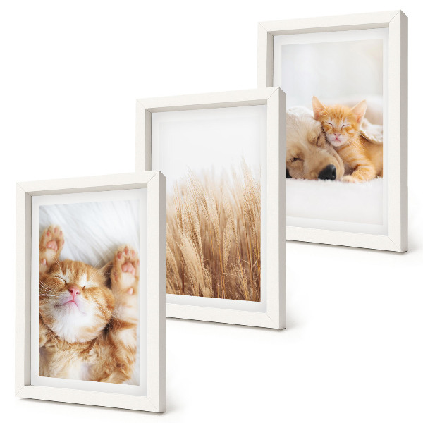 Trittico incorniciato Animali carini gatti cani erba delicata boho