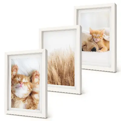 Trittico incorniciato con stampa di gatti e cani in stile boho su erba delicata