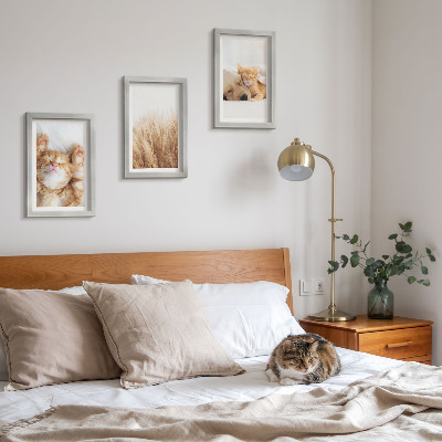 Trittico incorniciato Animali carini gatti cani erba delicata boho