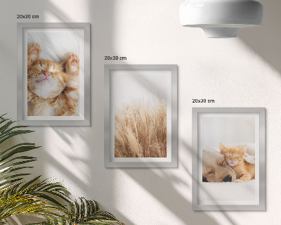 Trittico incorniciato Animali carini gatti cani erba delicata boho