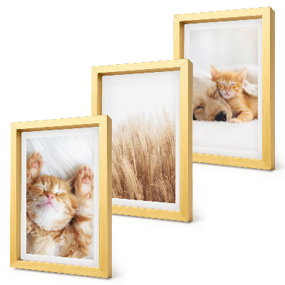 Trittico incorniciato Animali carini gatti cani erba delicata boho
