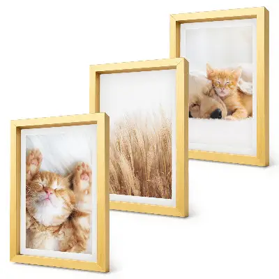 Trittico incorniciato con stampa di gatti e cani in stile boho su erba delicata