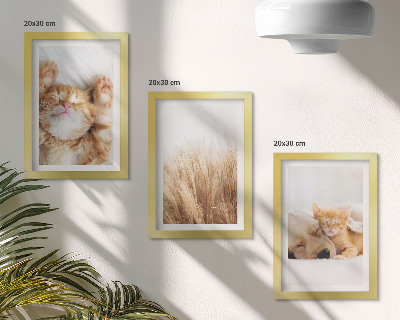 Trittico incorniciato Animali carini gatti cani erba delicata boho