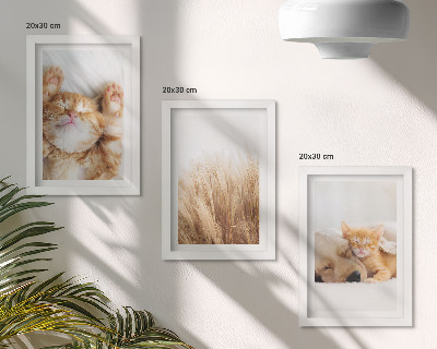 Trittico incorniciato Animali carini gatti cani erba delicata boho